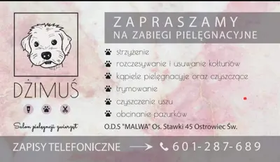 Salon Pielęgnacji Zwierząt "Dżimuś"